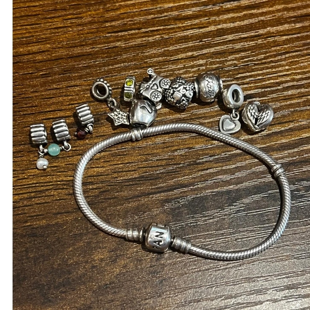 Retired Pandora 925 Sterling Silver Charm Bracelet with 10 SS Charms 41 grams